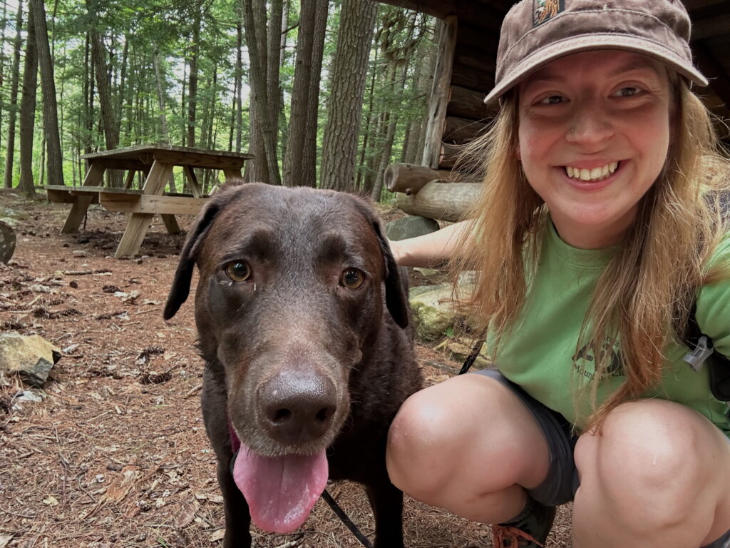 C944CE17-6A1A-4DE4-BB8B-0EB2D3843F82